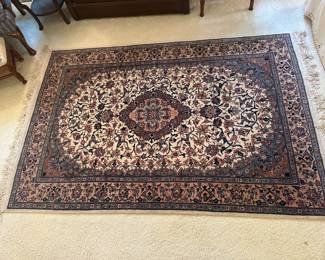3 x 5 hand knot wool rug