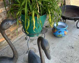 Unique Patio and Garden Decor and Plants