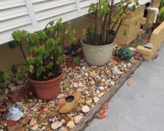 Steffans more pots and plants