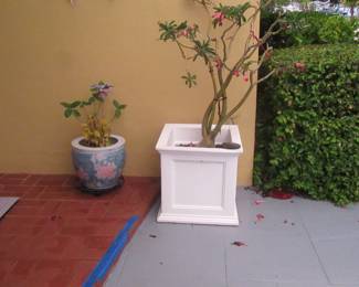 steffans pots and more