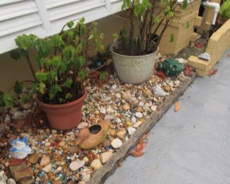 Steffans more plants