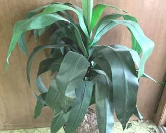 323 - Faux Plant - 42" Tall