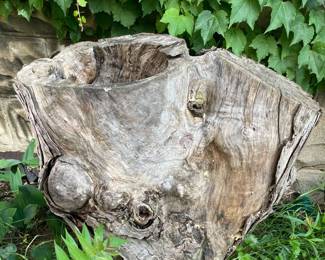 Large, LandscapingTree Stump--gotta see!