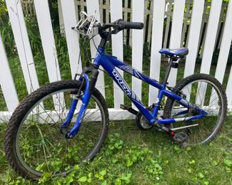 TREK Bicycle--Nice, Clean, (tires need air)