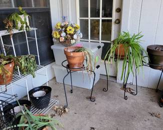 Pots and plants and plants