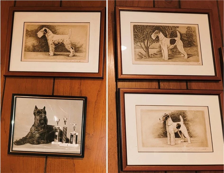 House of Dog Lover! Framed portraits