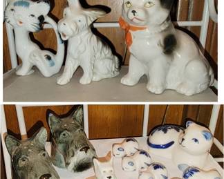 dogs and cats