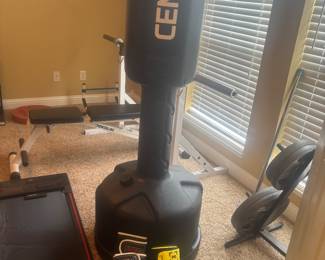 Century punching bag