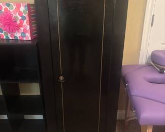 Sentinel Gun safe