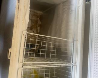 GE freezer