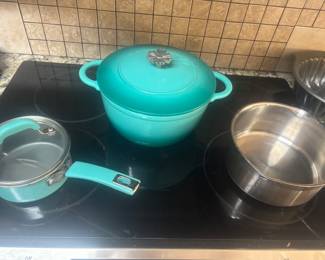 Pioneer Woman pans