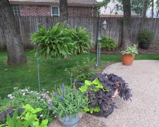 Plants