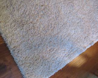 Area rug
