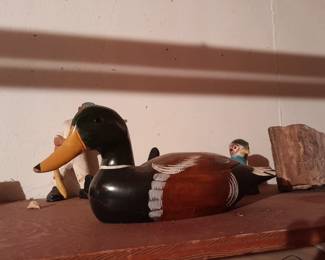 Wood duck