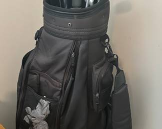 Hunter Green Darrel Golf Bag with Integra Clubs, Acer SCX Driver and Taylor Made.