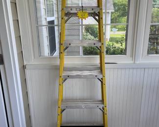 6 Foot Step Ladder
