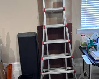 Little Giant Ladder