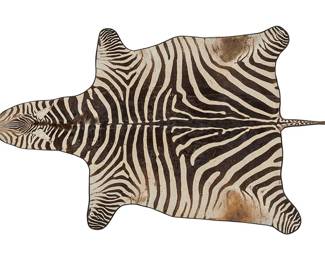 Zebra hide rug