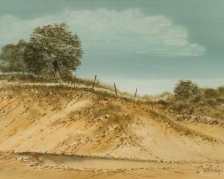 Raul Gutierrez, Texas Hillside