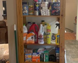 Cleaning Supplies, Bug Spray, PPE, Light Bulb Mystery Lot
