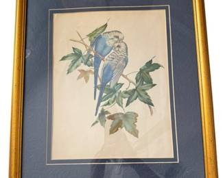 Gold Gilt Framed Blue Parakeets Print