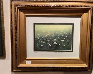 "QUEEN ANNE'S LACE" BY BELLE