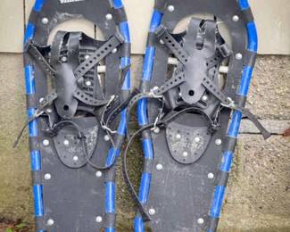 Yakima DayTripper 25 Snow Shoes