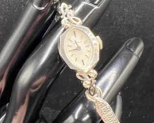 Benrus Ladies 21 Jewels Watch with Diamonds
