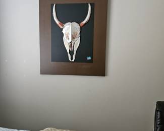 *Bull horn wall art