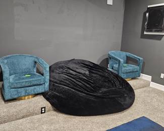 *2 Teal swivel chairs
*Oversized bean bag
