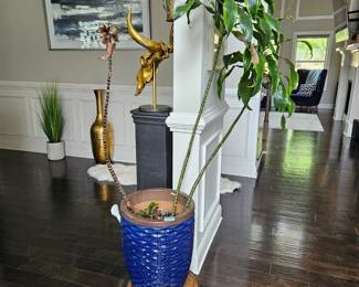 *Houseplant with blue ceramic pot