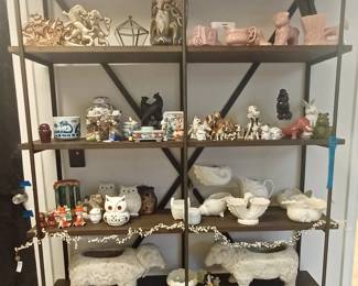 Shelves of Variety!