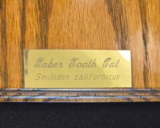 Sabor Tooth Cat Replica