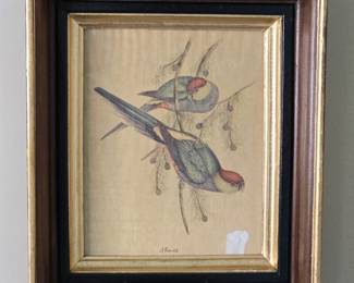 John Gould Framed Print