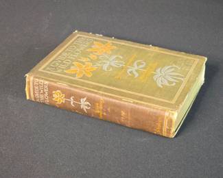 A Guide to Wild Flowers