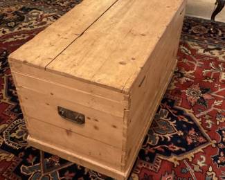 Early pine trunk