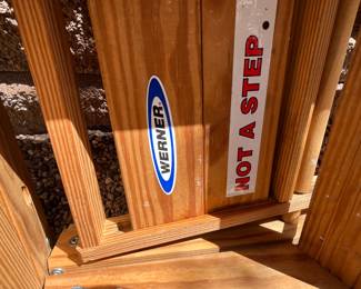 Werner 10 ft Heavy Duty Industrial Ladder