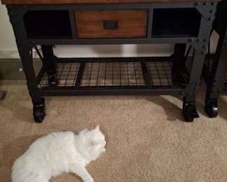 Cat Not Included