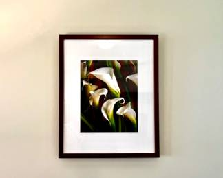 Framed art