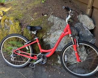 2016 Expedition Red Sport Low Entry Bicycle