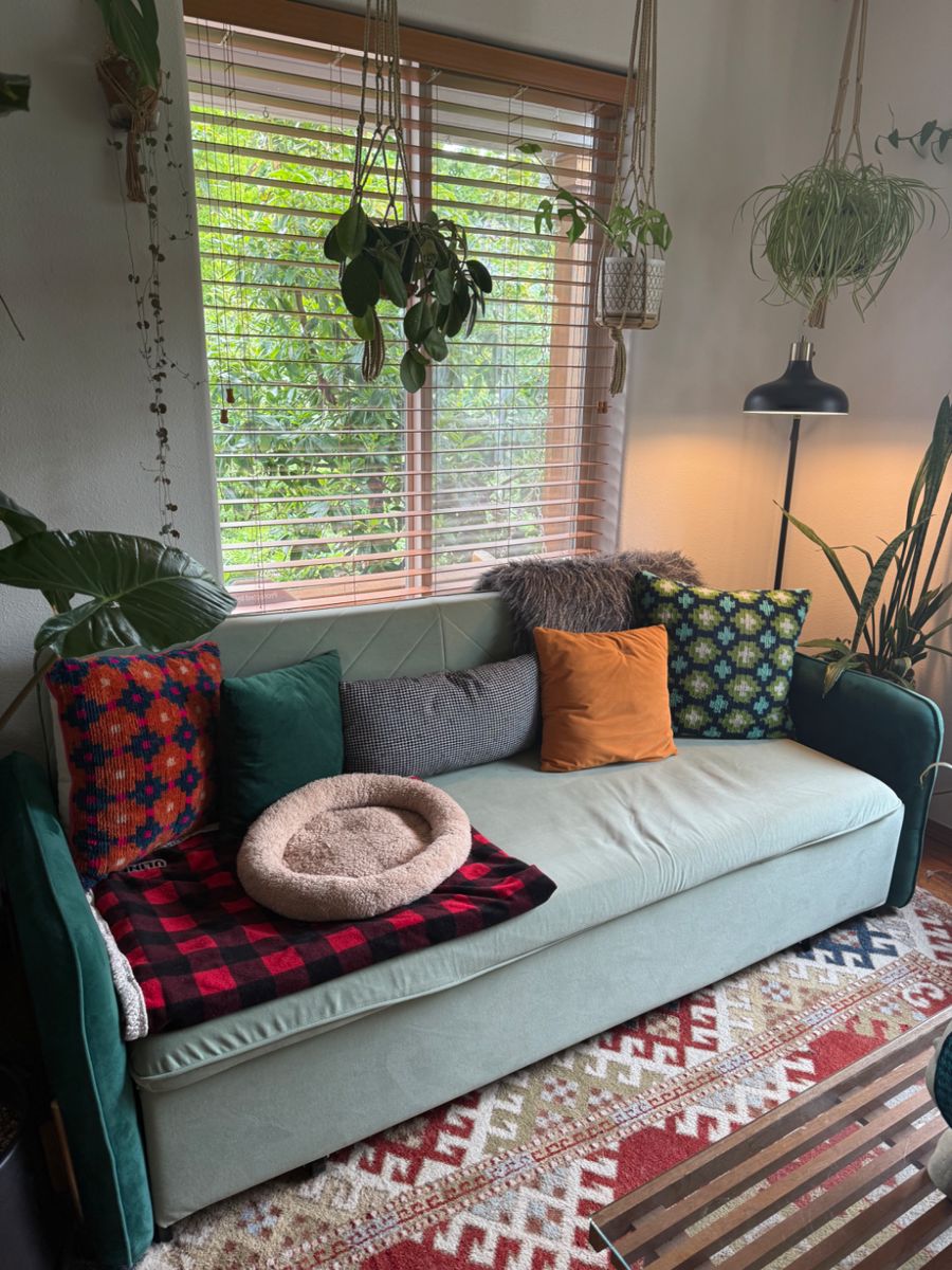 Modern Sofa Couch, Modern decor, Plants