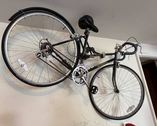 Schwinn Bike