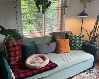 Modern Sofa Couch, Modern decor, Plants