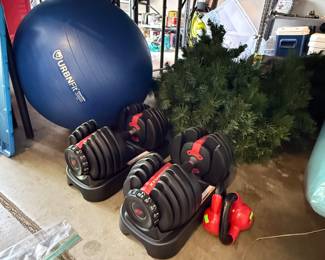 Bowflex Free Weight System