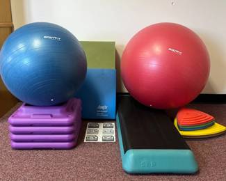Balance Core Training Equipment Lot Stability Balls, Step Platform, Riverstones More