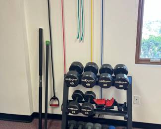 Complete Free Weights Resistance Training Lot Dumbbells, Bands, Rack More