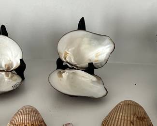 Mother of pearl shells