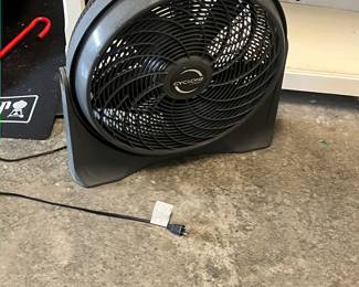 Nice fan