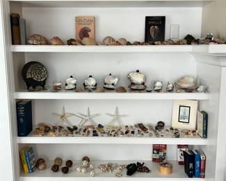 Lovely collection of vintage and modern hand picked shells