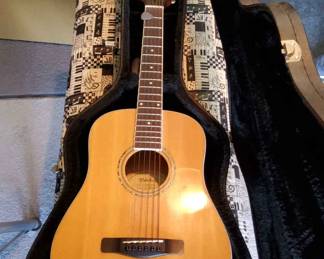 Guitar And Case